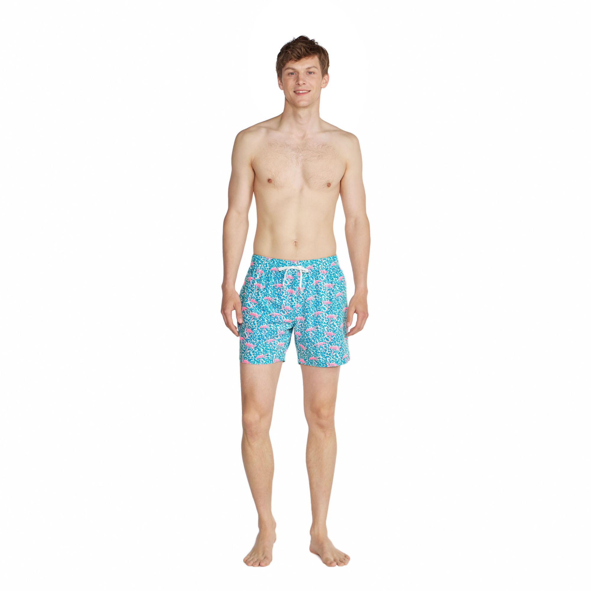 Chubbies Men's Classic Lined 5.5" Swim Trunks product image