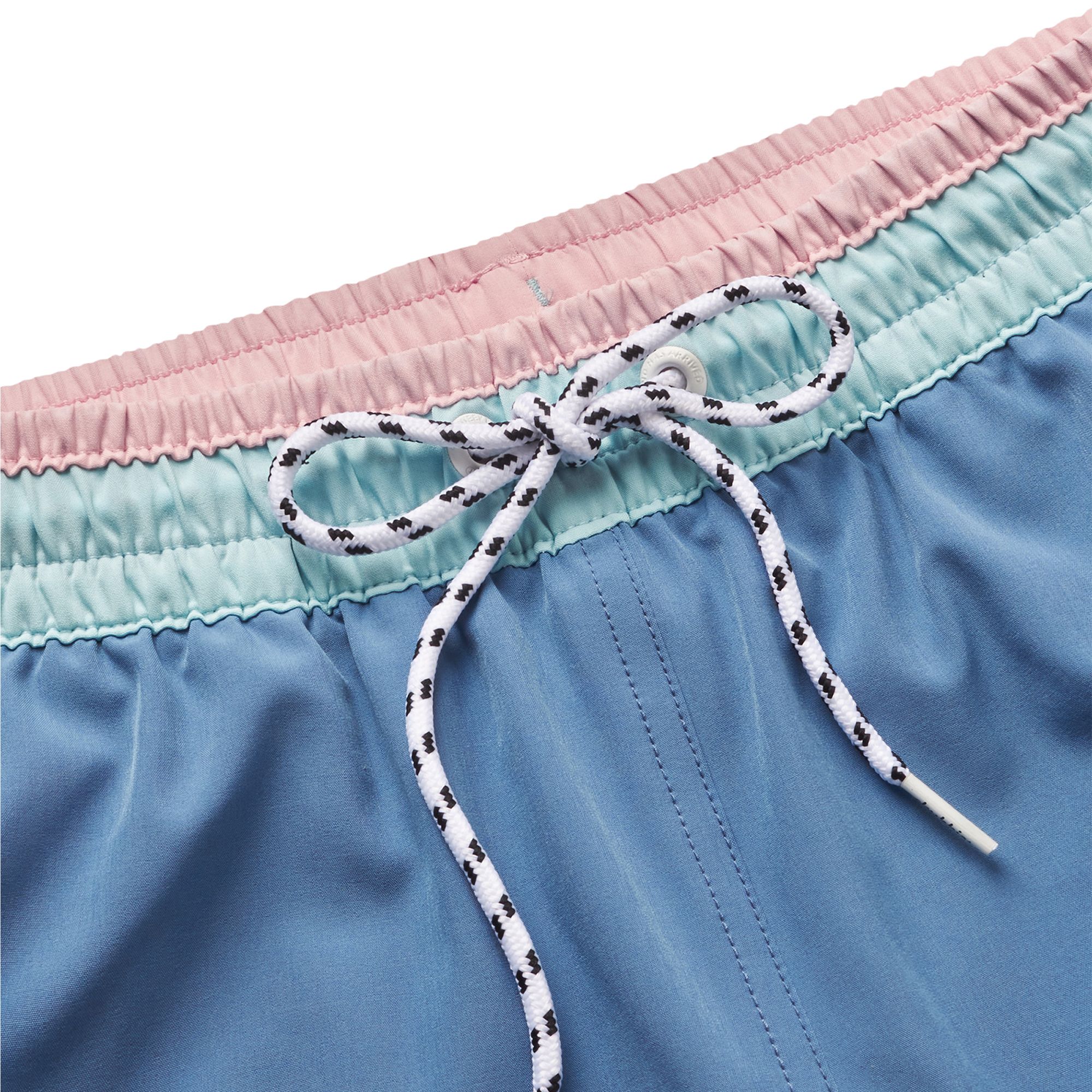 Chubbies Men's Classic Lined 5.5" Swim Trunks product image