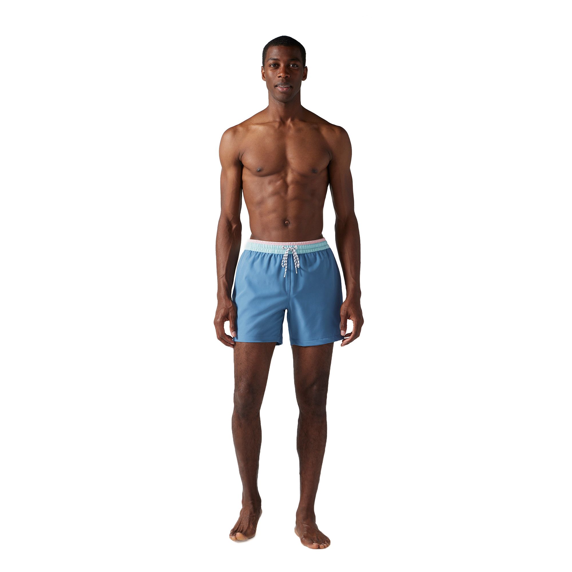 Chubbies Men's Classic Lined 5.5" Swim Trunks product image