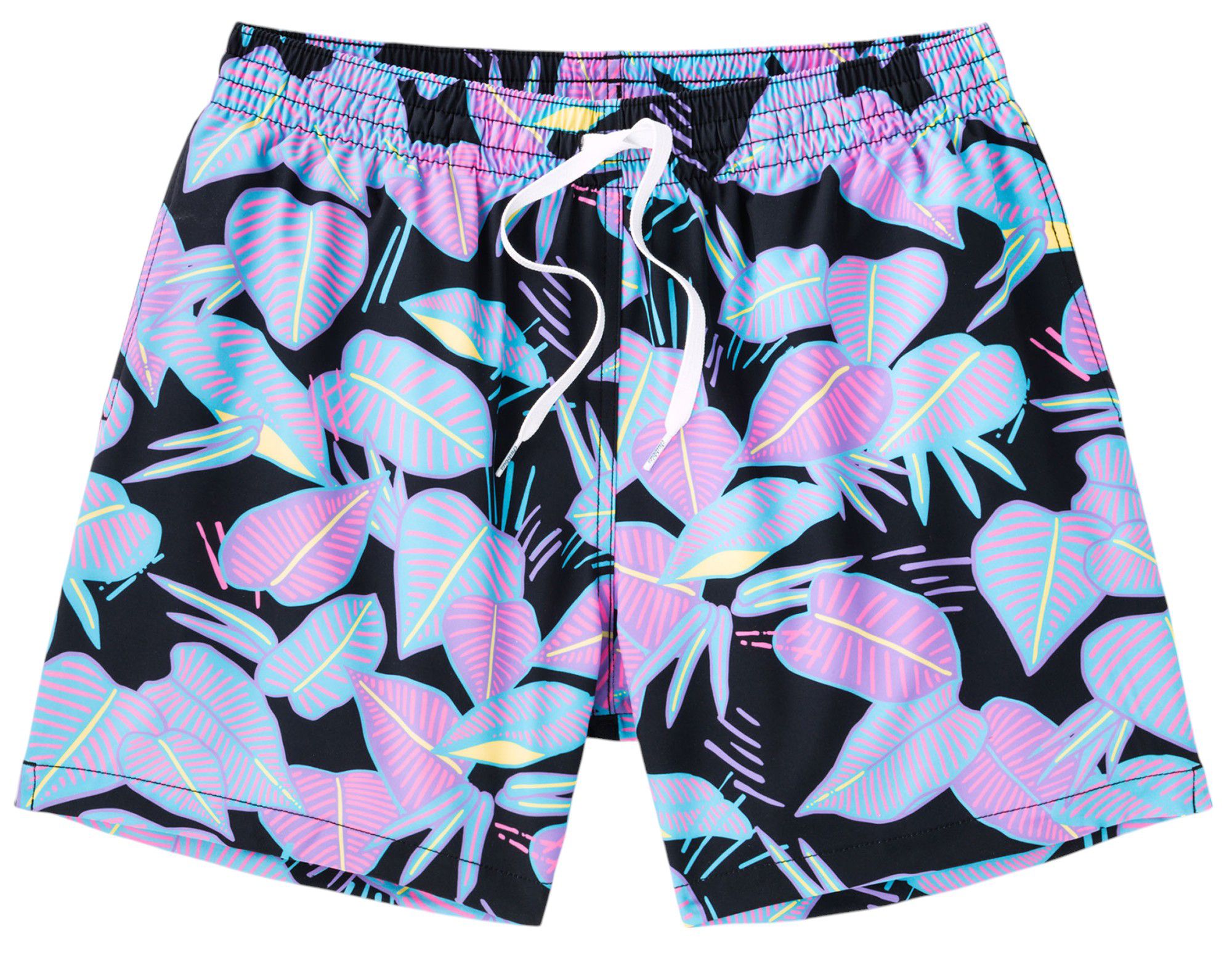 Chubbies Men's Classic Lined 5.5" Swim Trunks product image