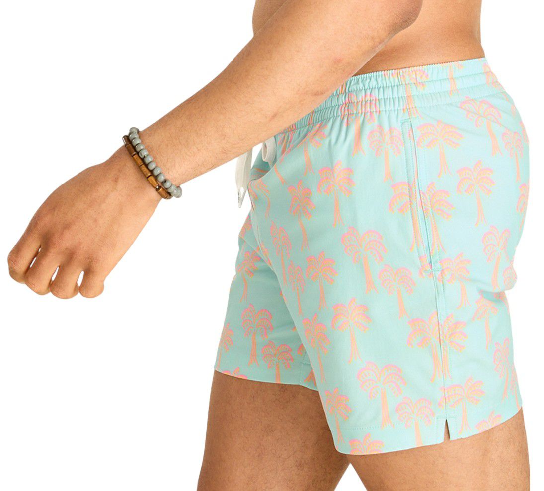 Chubbies Men's Classic Lined 5.5" Swim Trunks product image