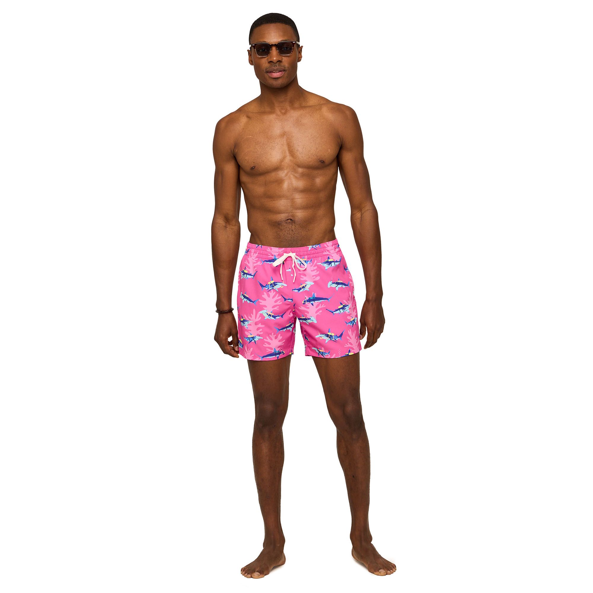 Chubbies Men's Classic Lined 5.5" Swim Trunks product image