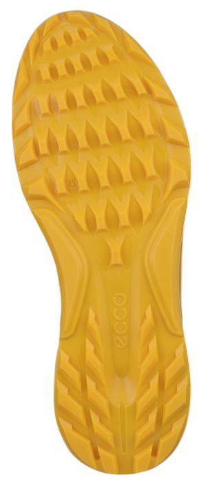 ECCO Men's BIOM C4 Golf Shoes product image