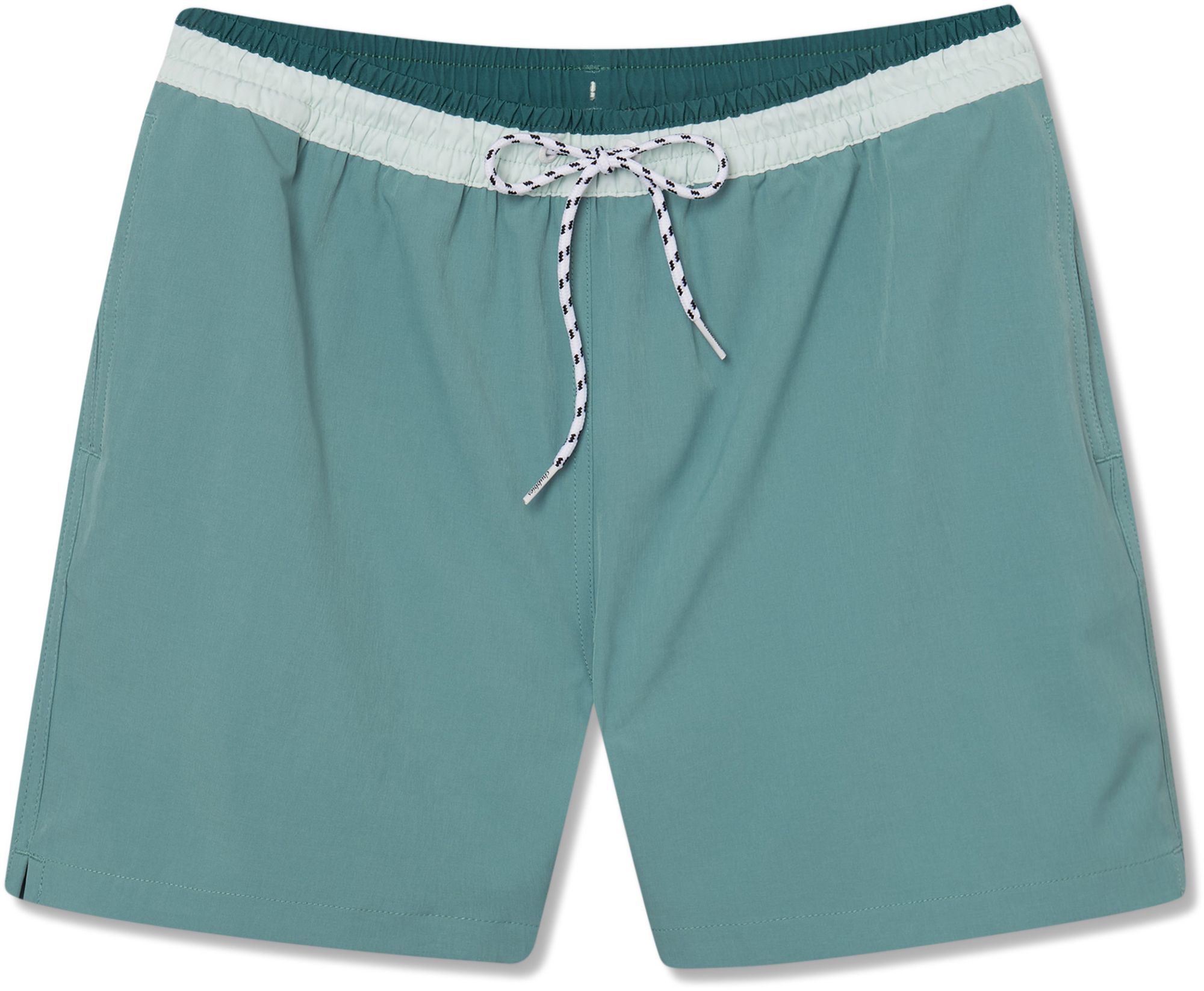 Chubbies Men's Classic 5.5" Swim Trunks product image