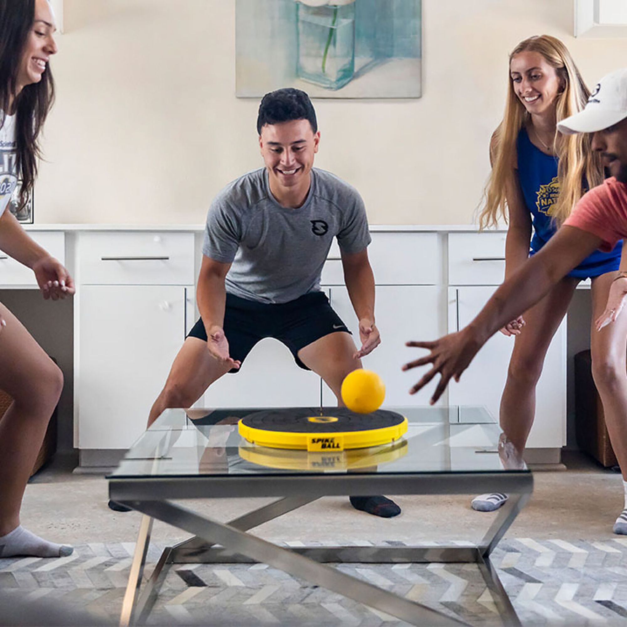 Spikeball Tabletop Game product image