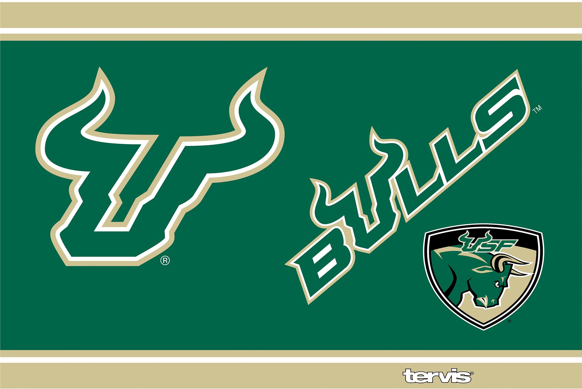 Tervis South Florida Bulls Campus 30oz. Stainless Steel Tumbler product image