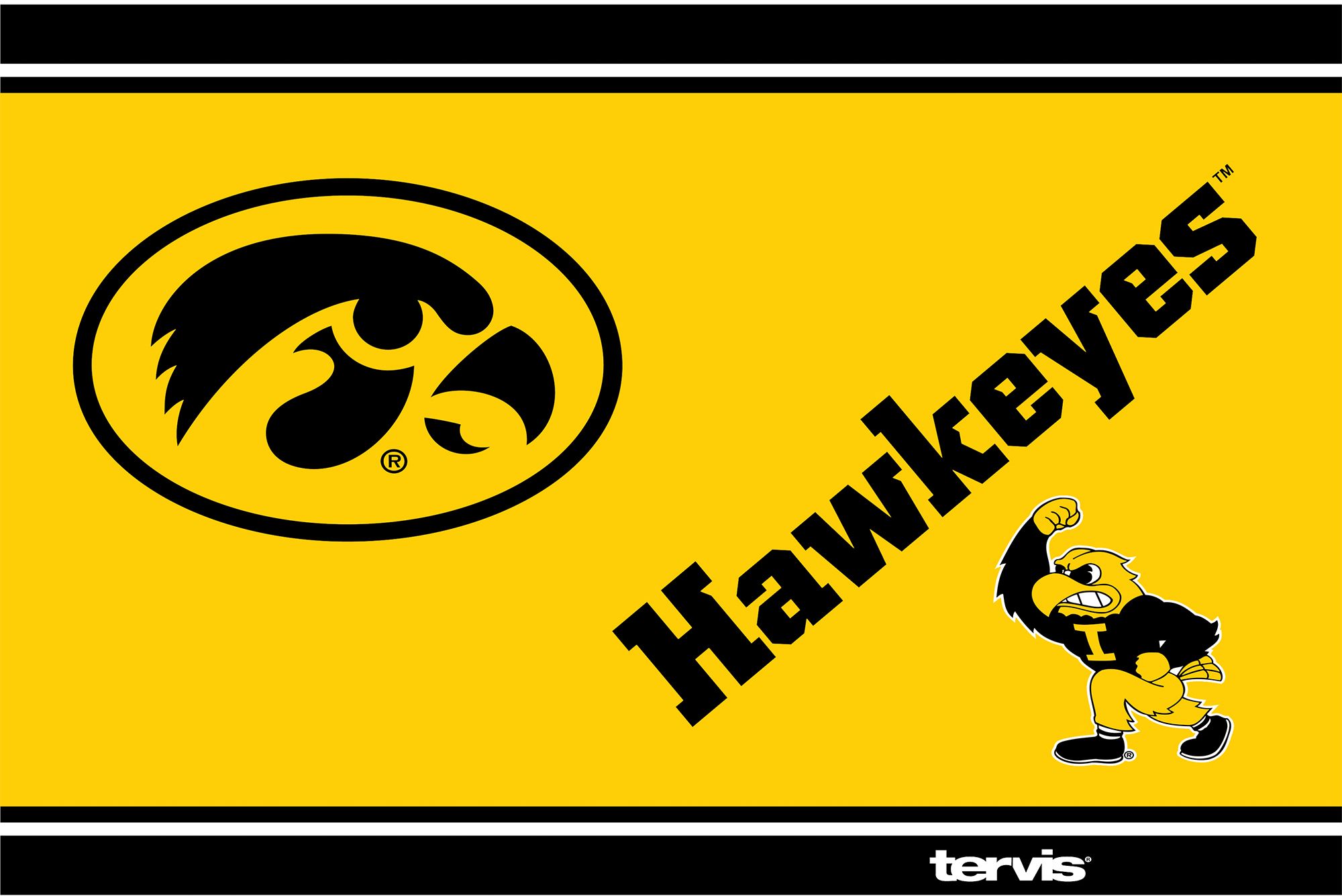 Tervis Iowa Hawkeyes Campus 30oz. Stainless Steel Tumbler product image