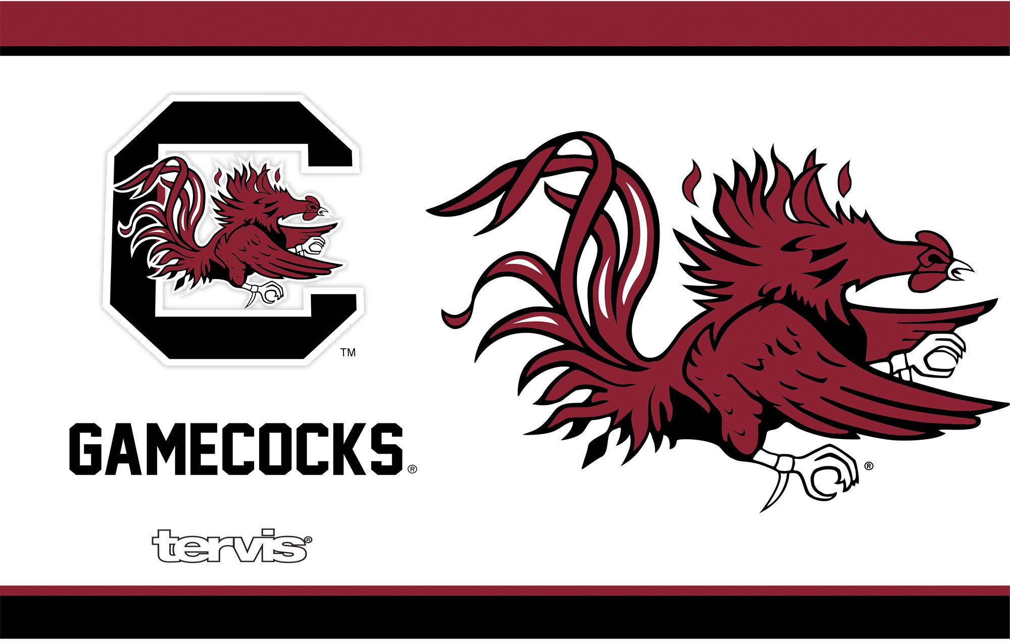 Tervis South Carolina Gamecocks 20oz. Stainless Steel Tumbler product image