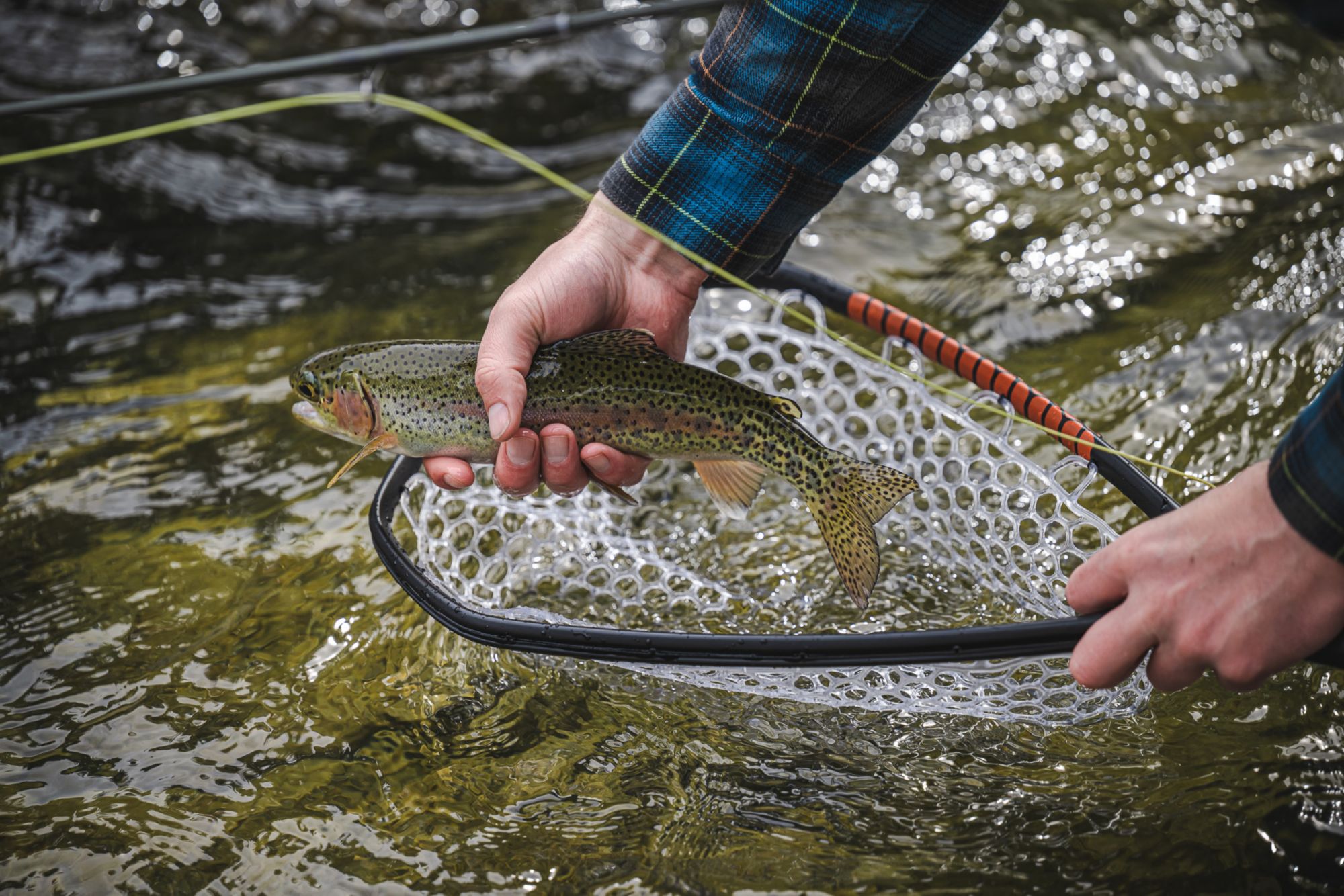 Simms Daymaker Landing Fishing Net - Small product image