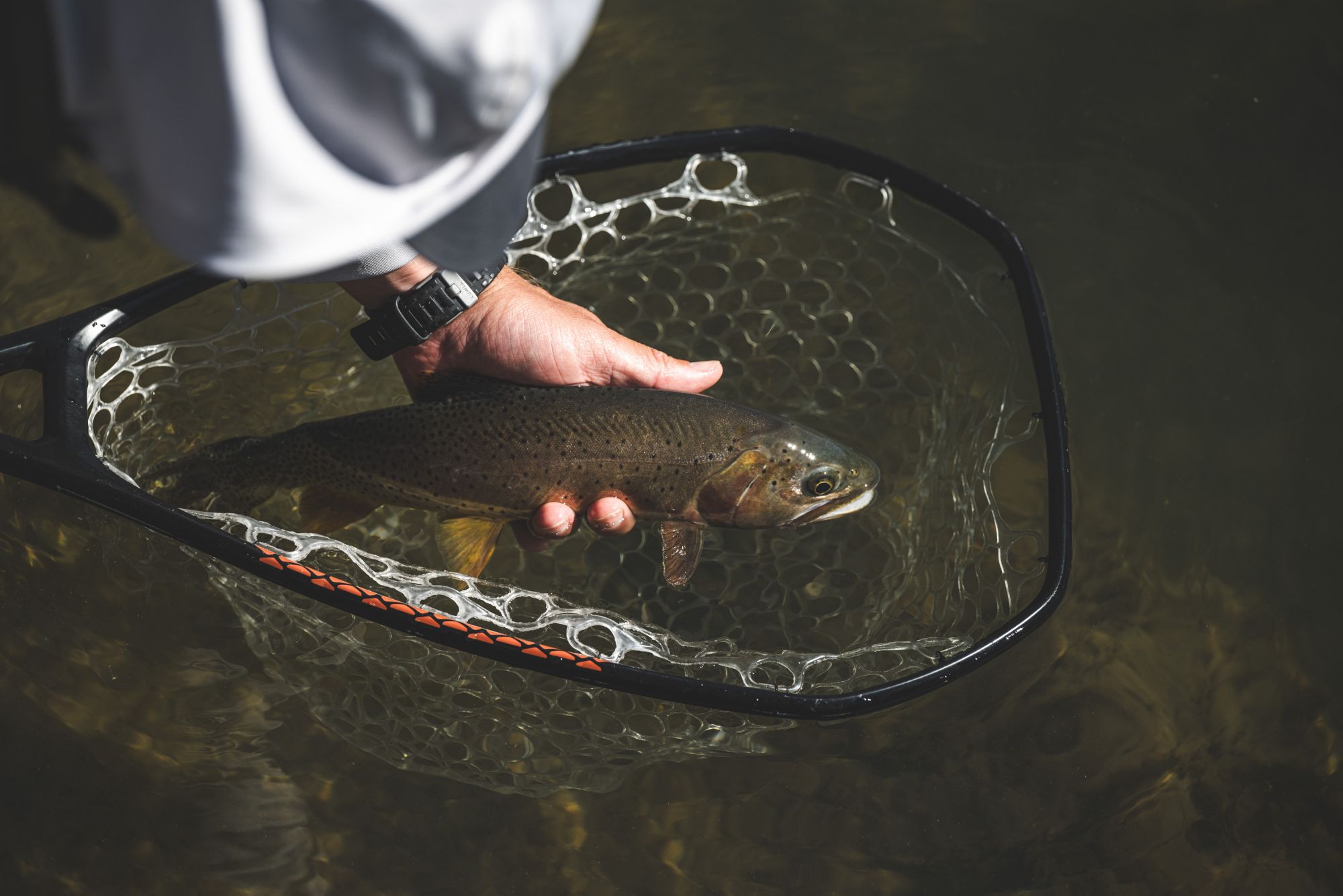 Simms Daymaker Landing Fishing Net - Medium product image