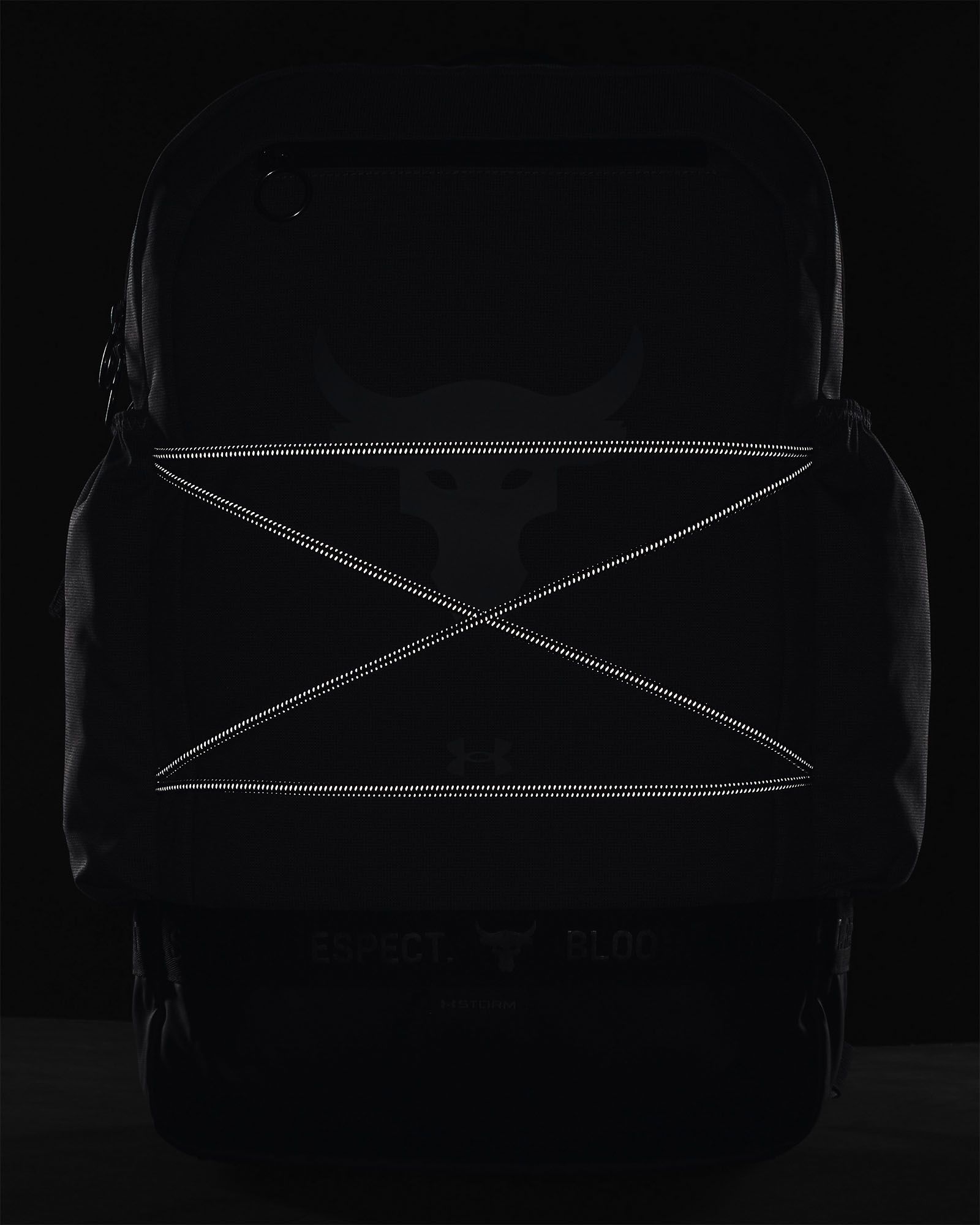 Under Armour Project Rock Brahma Backpack product image