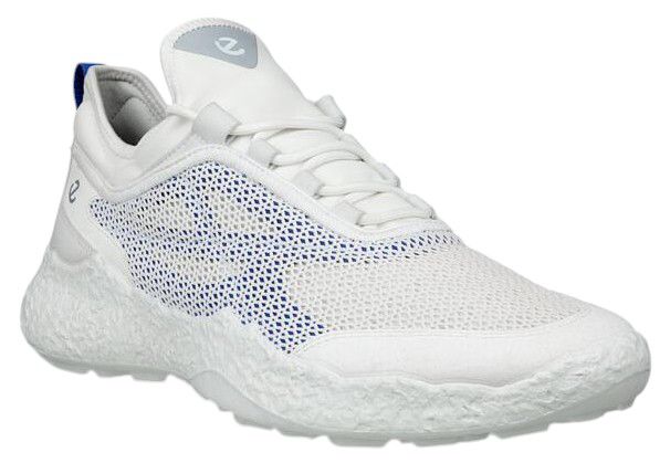 ECCO Men's BIOM H5 Golf Shoes product image