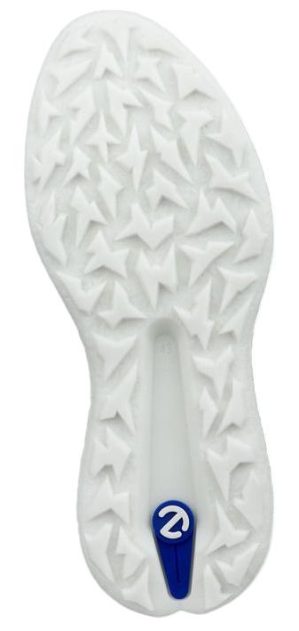 ECCO Men's BIOM H5 Golf Shoes product image