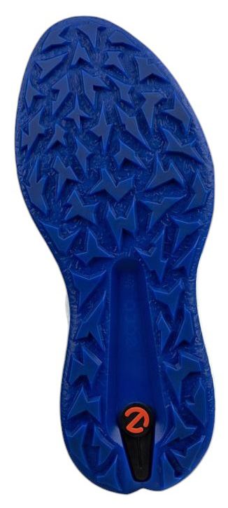 ECCO Men's BIOM H5 Golf Shoes product image