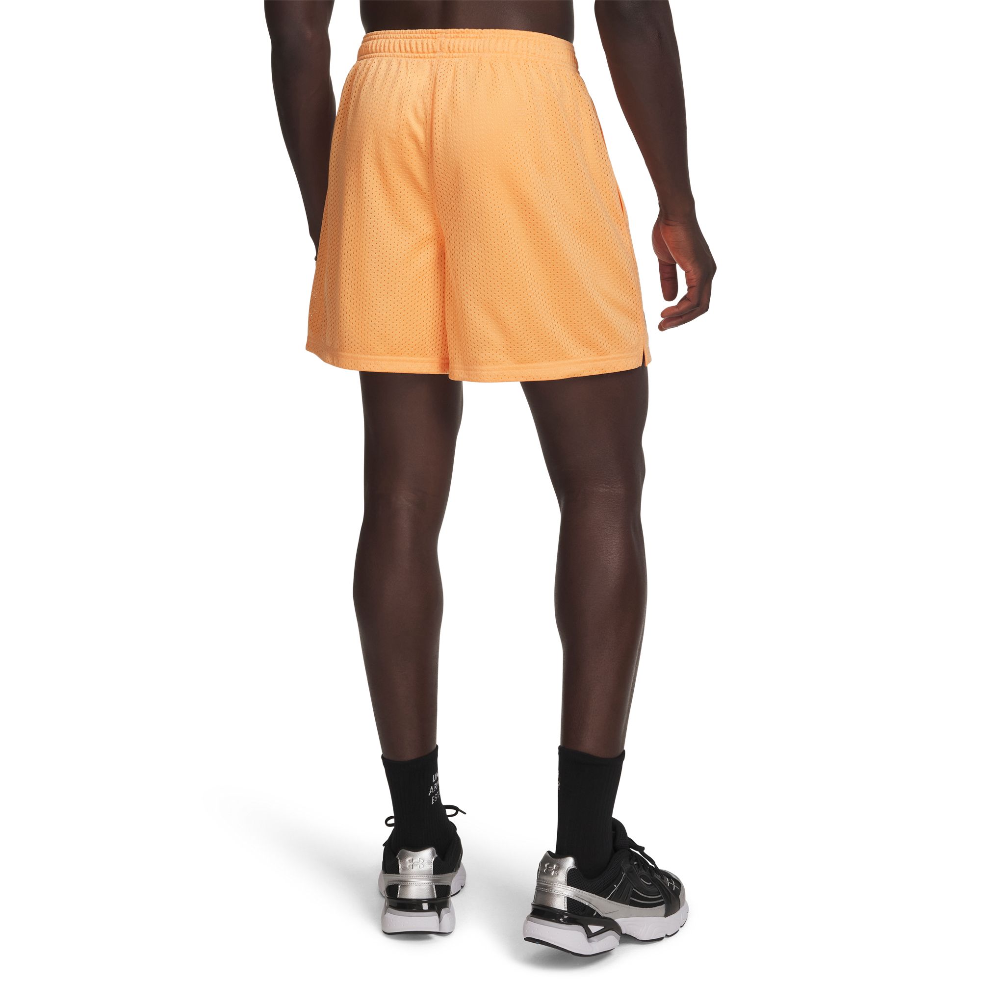 Under Armour Men's Icon Mesh Shorts product image