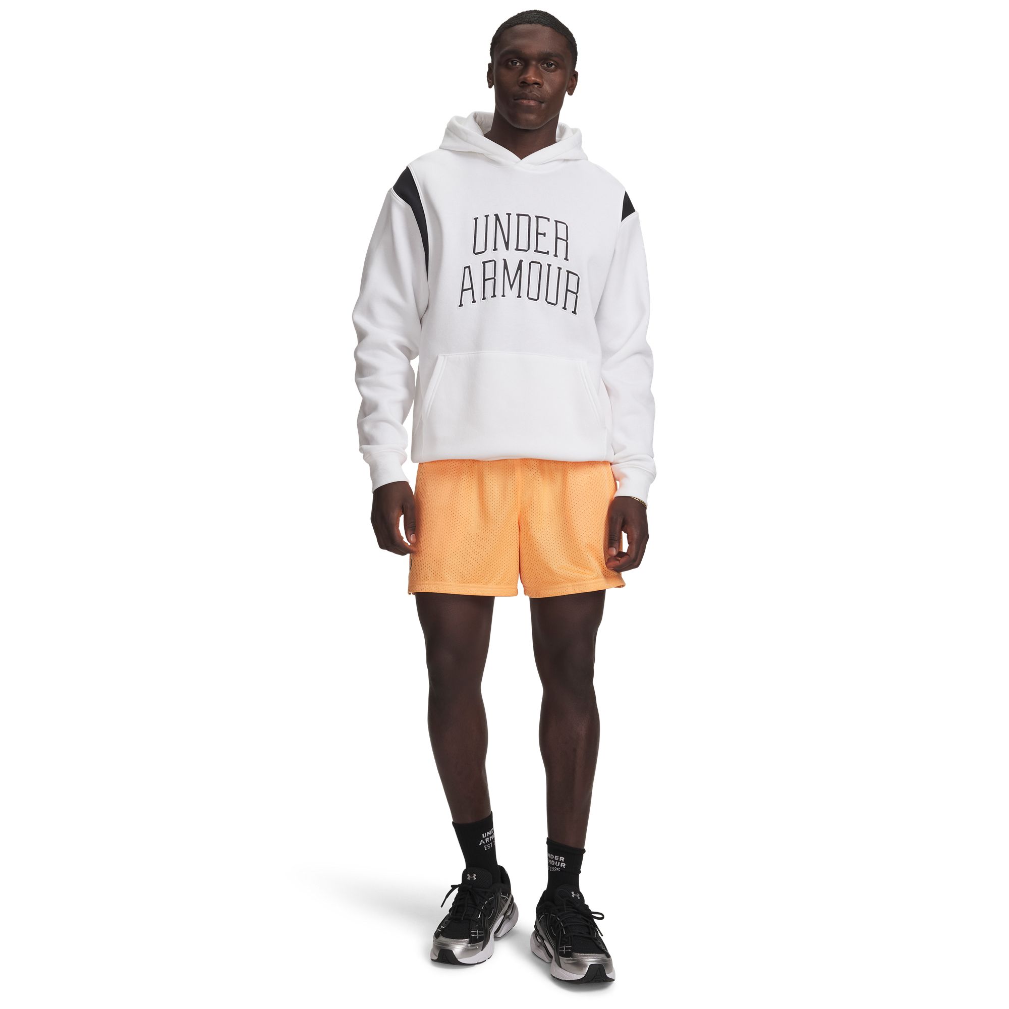 Under Armour Men's Icon Mesh Shorts product image