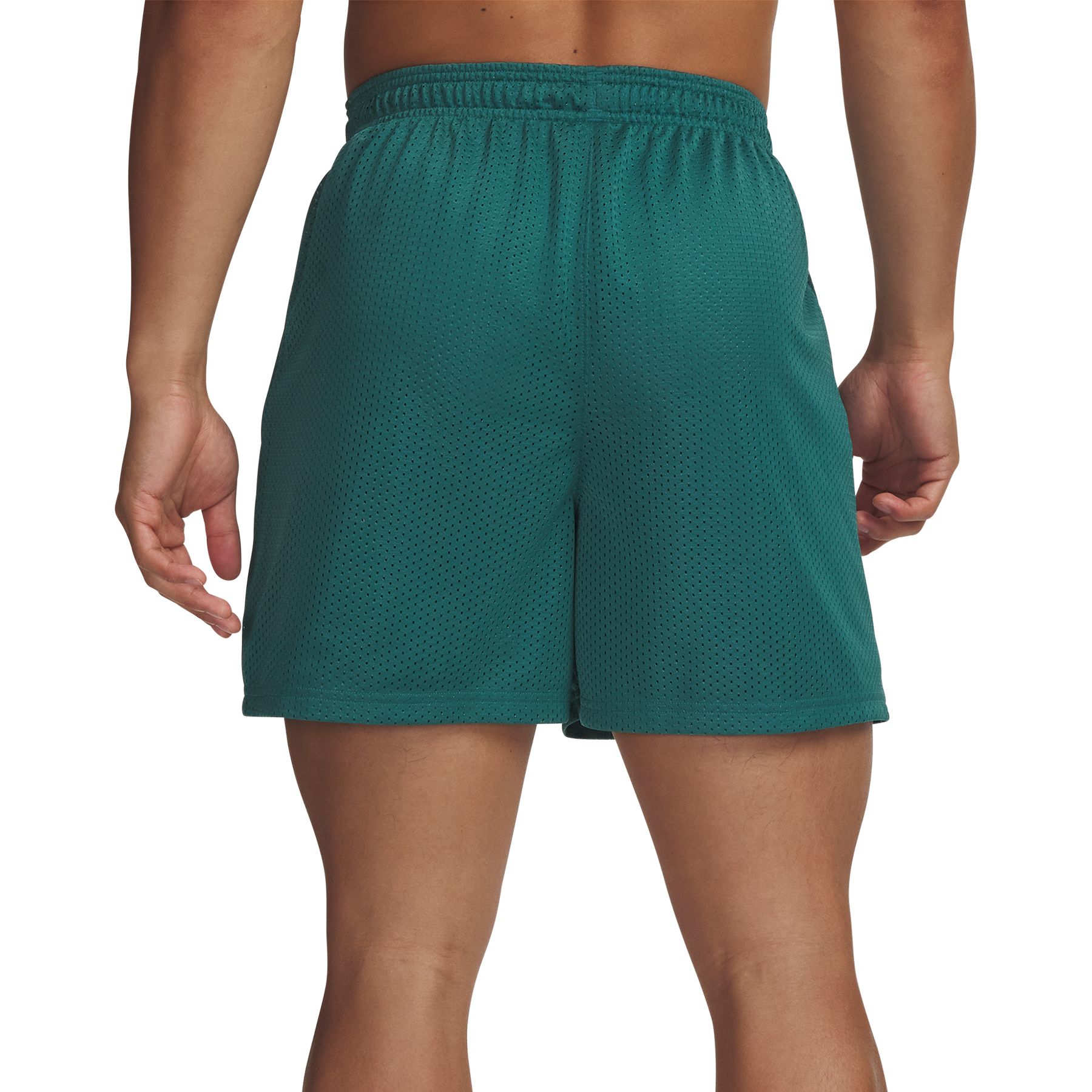 Under Armour Men's Icon Mesh Shorts product image