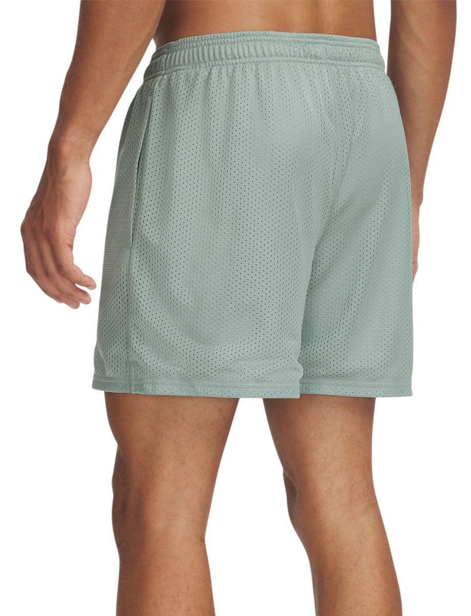 Under Armour Men's Icon Mesh Shorts product image