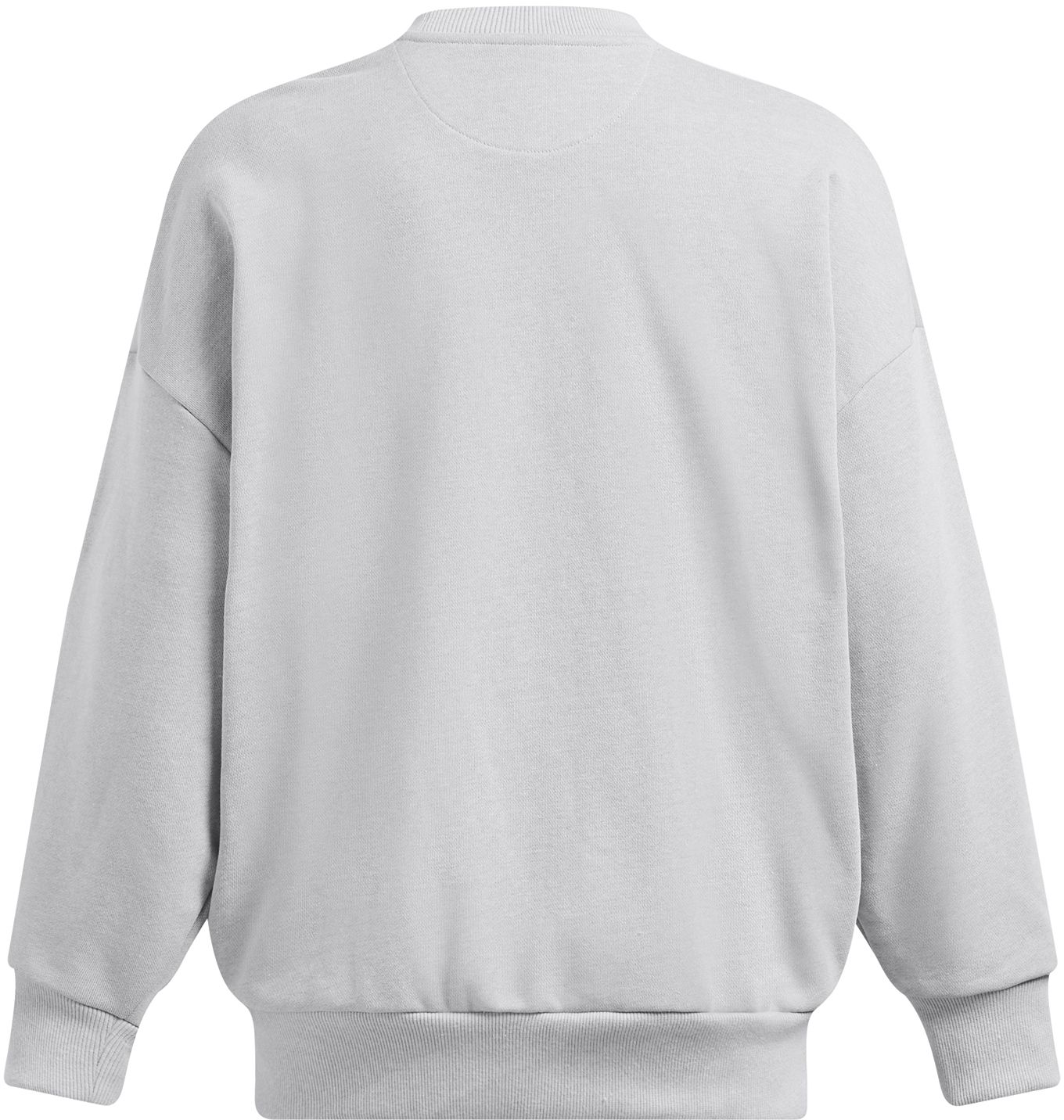 Under Armour Women's Icon Heavyweight Terry Oversized Crewneck Sweatshirt product image