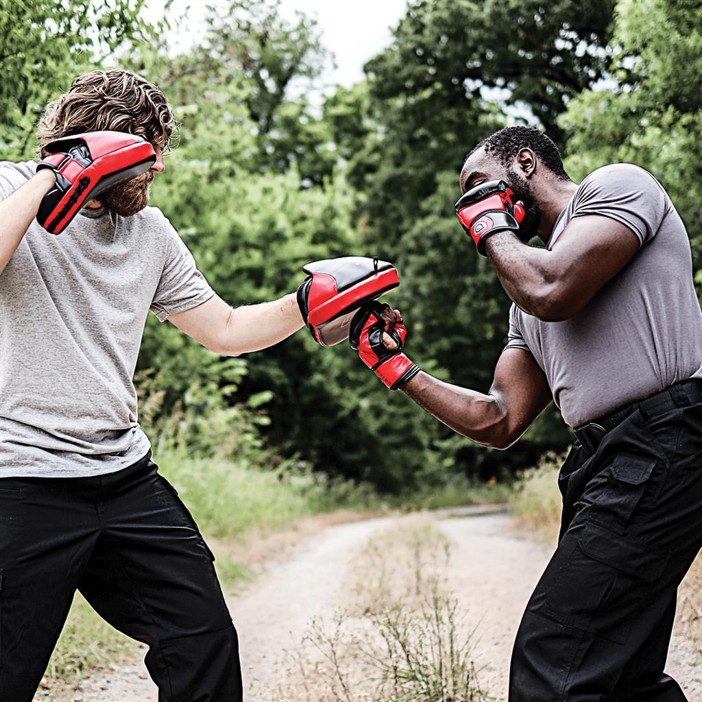 Century DRIVE Fight Gloves product image