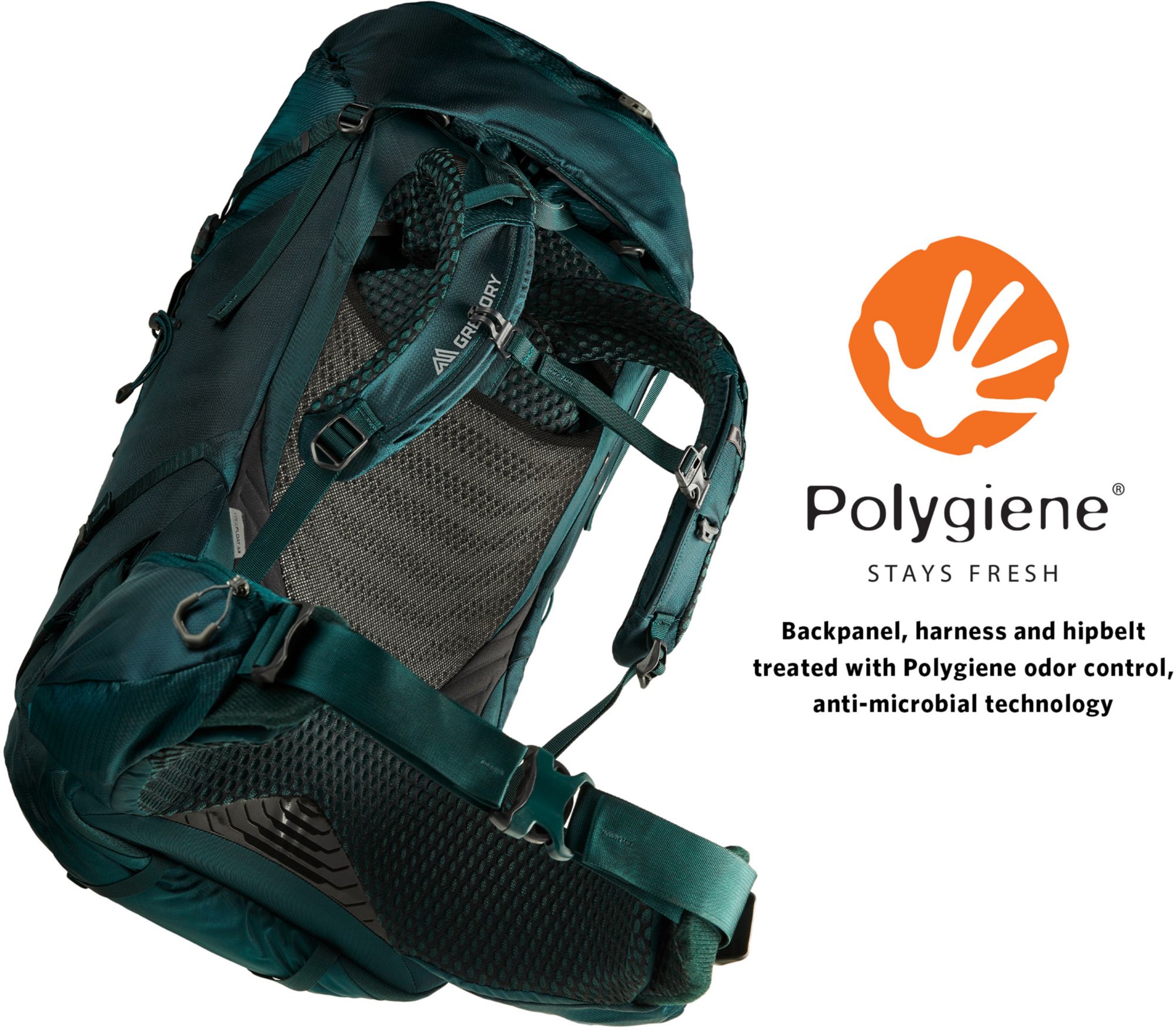 Gregory Women's Deva 60 Frame Pack product image