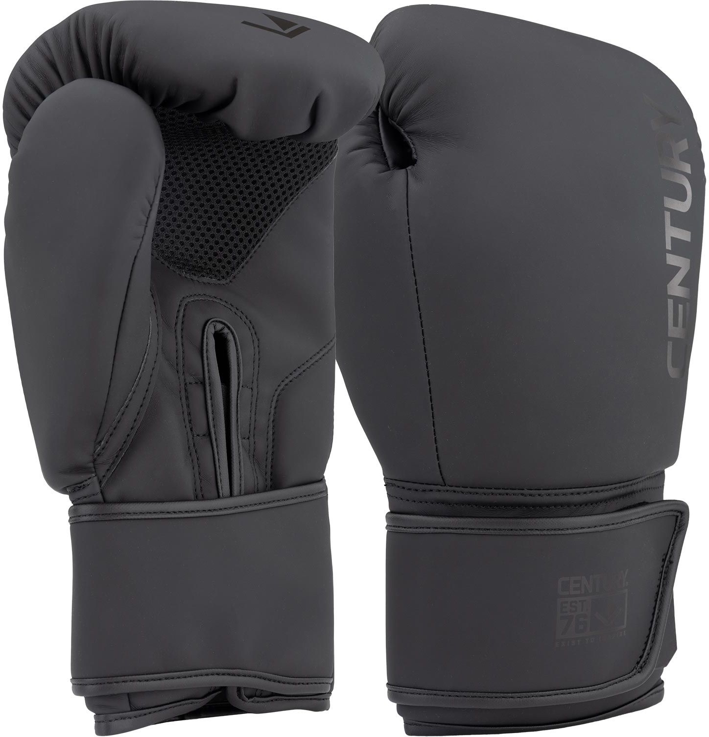 Century Brave Muay Thai Kickboxing Gloves product image