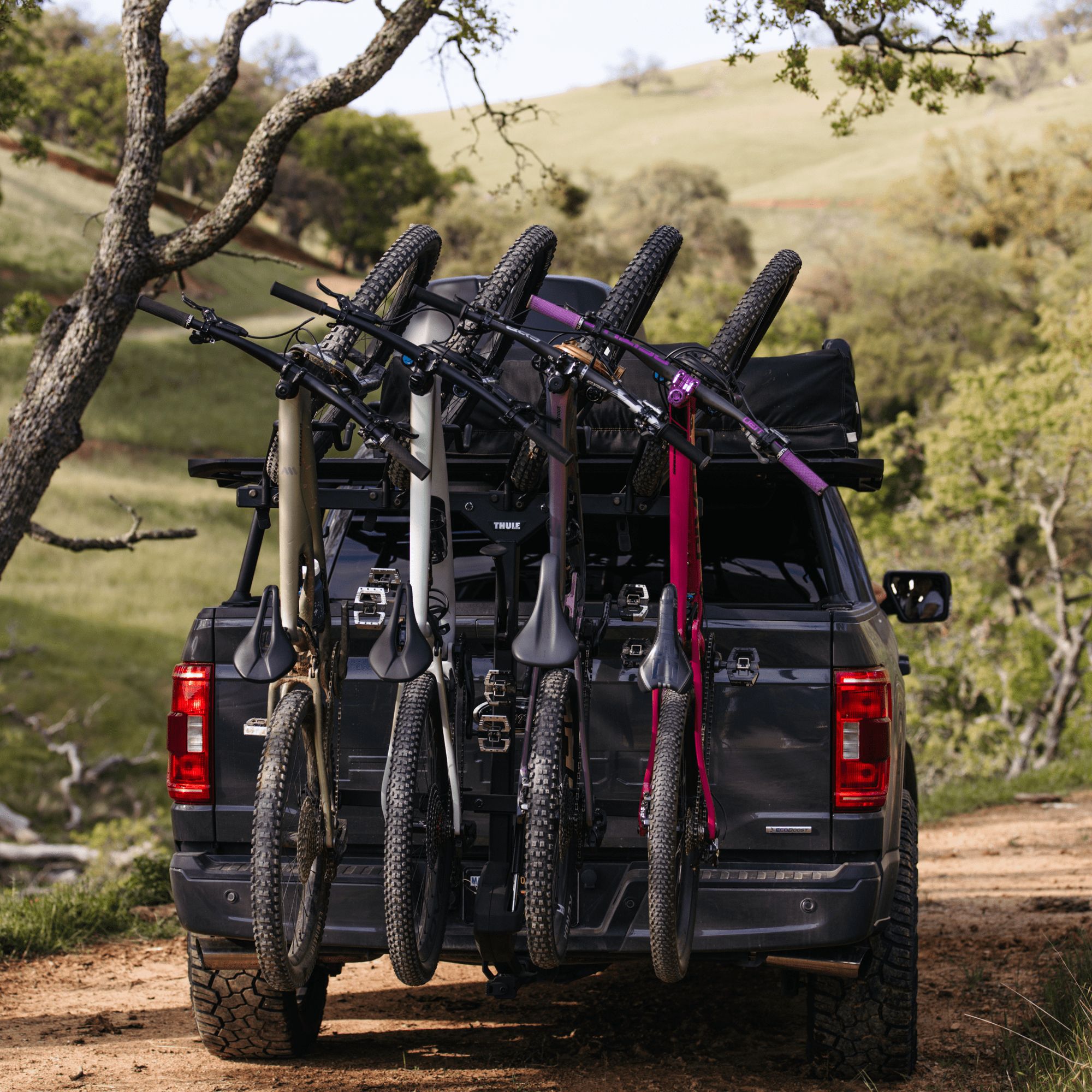 Thule ReVert Vertical 4-Bike Rack product image