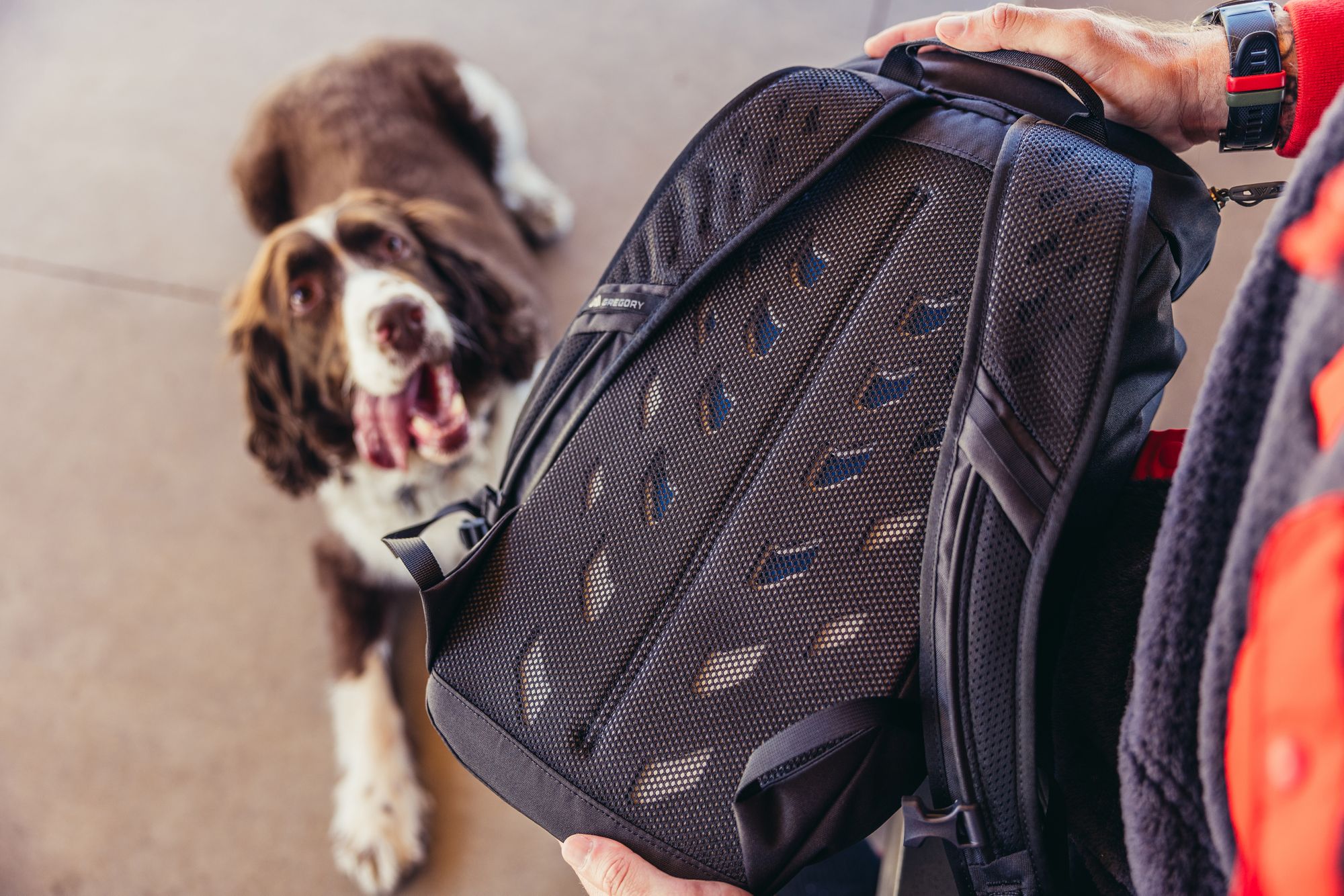 Gregory Nano 16L Backpack product image