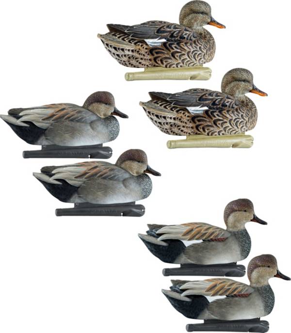 Avian-X Top Flight Gadwall Decoys - 6 Pack product image