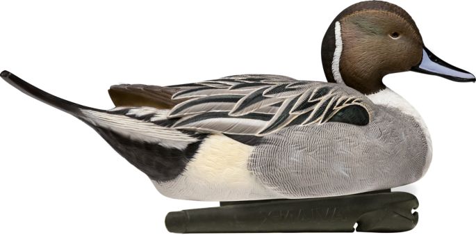 Avian X Topflight Pintail Duck Decoy 6 Pack Dick S Sporting Goods