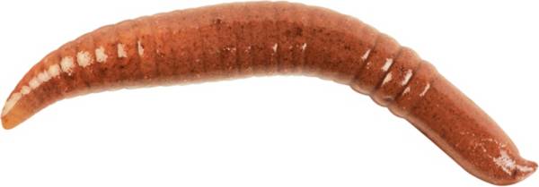 berkley-gulp-pinched-crawler-non-floating-soft-bait-dick-s-sporting