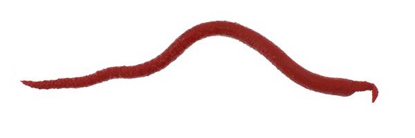 Berkley - Gulp! Extruded Bloodworm Bloody