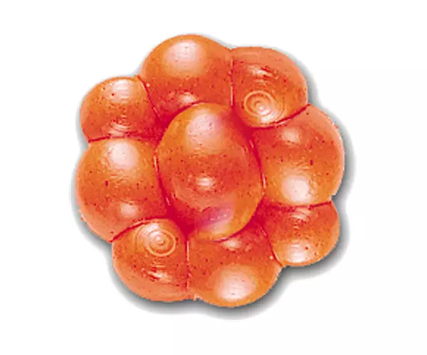 Berkley PowerBait Trout/Steelhead Egg Clusters - Fluorescent Orange