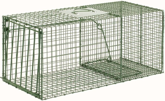 Duke Heavy Duty Single Door Cage Trap Dick S Sporting Goods