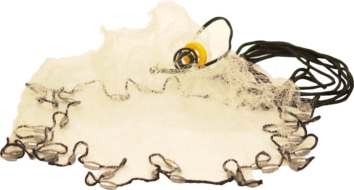 carp fishing river lures Top 5 Best Baits For Carp Fishing