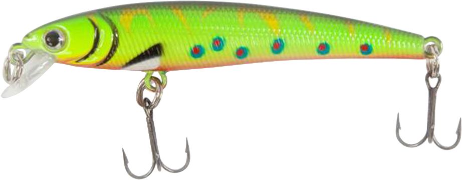 Dick's Sporting Goods Leland Trout Magnet Hard Bait