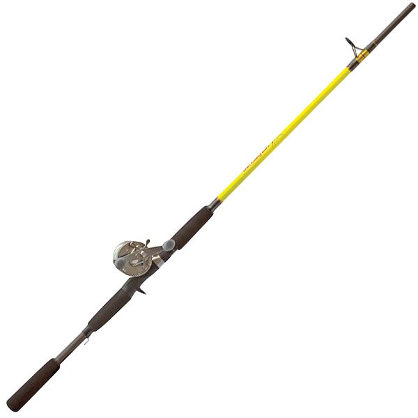 Dick's Sporting Goods Mr. Catfish Cat Series Baitcasting Combo