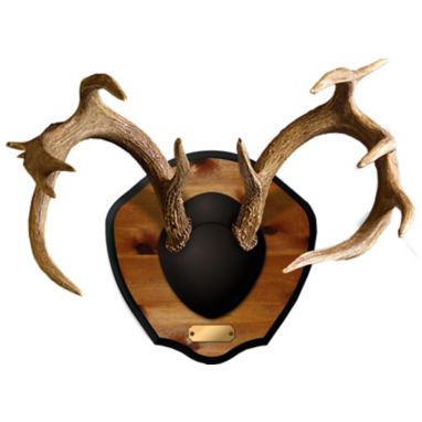 sorry, Mountain Mike's Reproductions Plaque Master Antler Kit is currently out of stock