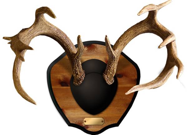 Mountain Mike's Reproductions Plaque Master Antler Kit product image