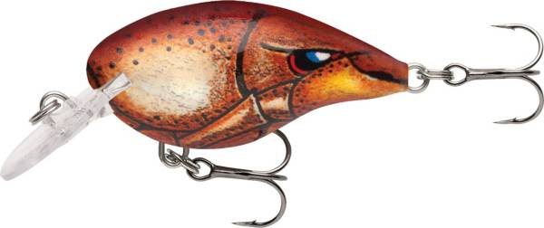 Rapala DT (Dives-To) Series Crankbait | DICK'S Sporting Goods