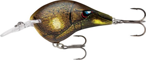 Rapala DT (Dives-To) Series Crankbait | DICK'S Sporting Goods