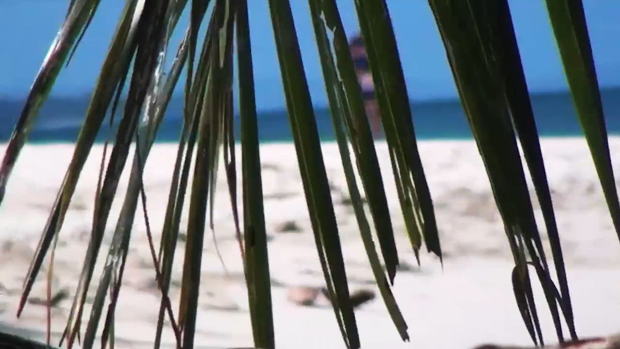 XTERRA TR6.4 Treadmill product