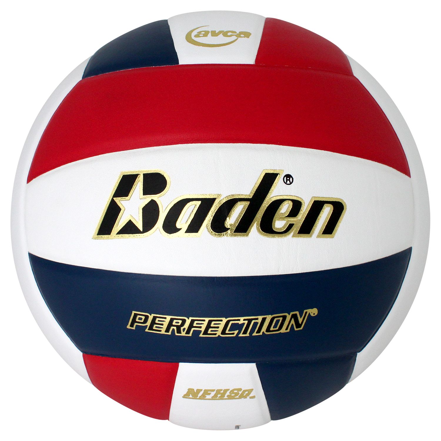 Baden Perfection Elite Series Indoor Volleyball