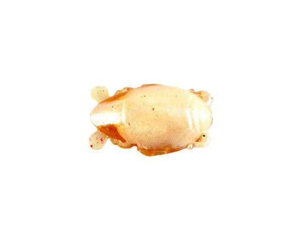 Berkley Gulp! 1'' Crab Flea Soft Bait product image