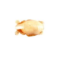 Berkley Gulp Saltwater 1/" Sand Crab Flea for sale online