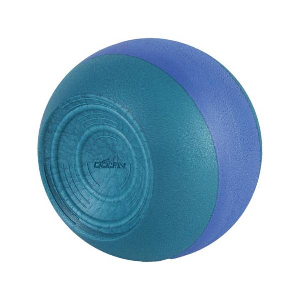 Dolfin Kickball Training Aid