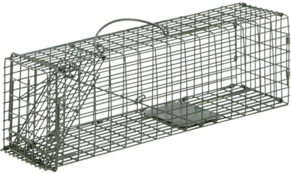 Duke #1 Single Door Cage Trap