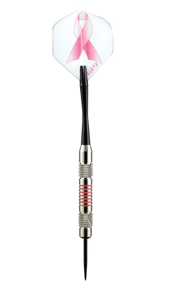 Fat Cat Darts 20 gm Steel Tip Dart Set with 6 Mariah Flights-6 Shafts-Bonus