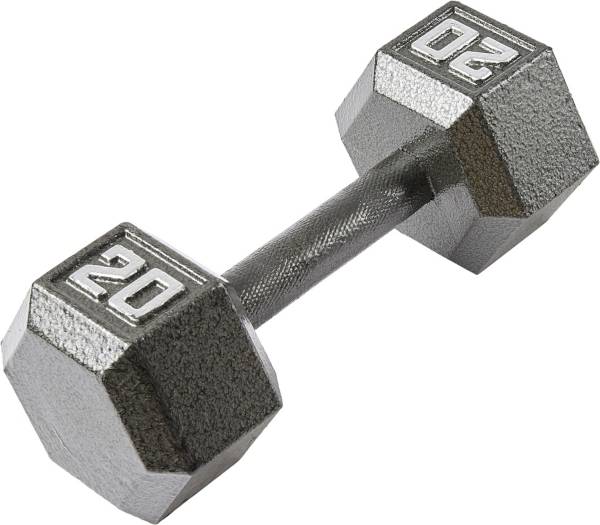 Fitness Gear 20 lb Cast Hex Dumbbell DICK'S Sporting Goods