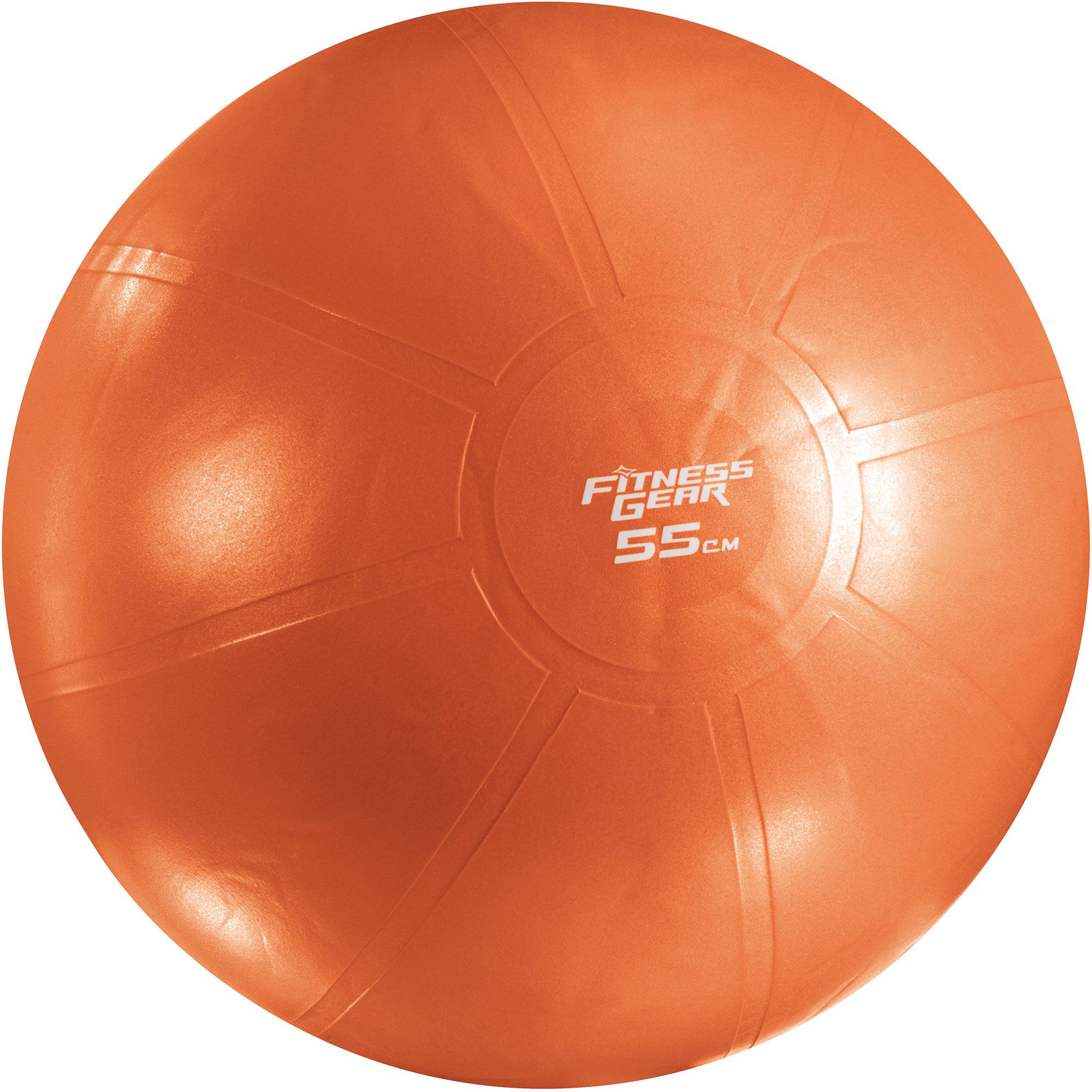 55 exercise ball